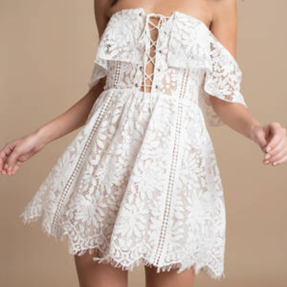 Tobi White Lace Skater Dress